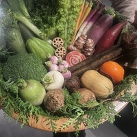 レフェルヴェソンス - 