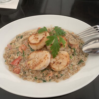 CICADA - メイン:帆立のロースト、ファロと舞茸のクリームリゾット