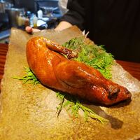 新中国料理HARAKAWA 北新地店 - 