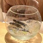 橦木町 しみず - 