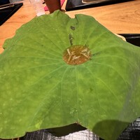 日本料理 ながおか - 