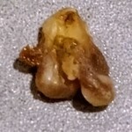 鉄板焼き 表参道 - 