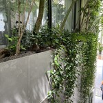 ASAKO IWAYANAGI SALON DE THE - 