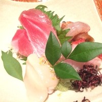 寿司 向月 本館 - お造り４種盛り