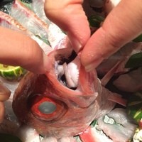 寿司 向月 本館 - ノドグロの喉を確認！うん、黒い。