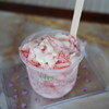 BUNNY BERRY SMILE STRAWBERRY - 