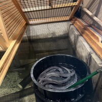 うなぎのしろむら - 