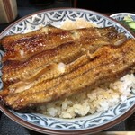 川勢 - 上うな丼・大盛り(アップ)