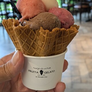 FRUTTA GELATO_0