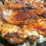 レストハウスかしわ - 豚肉をドアップで♪