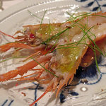 アロマフレスカ - 赤座海老のクルード　Scampi Crudi