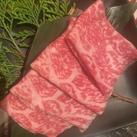 Shangri-La's secret ROPPONGI - 