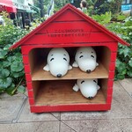 PEANUTS Cafe SUNNY SIDE kitchen - 