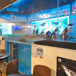 ペンギンのいるダイニングバー沖縄 - 水槽