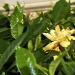 焼きもの家 慶 - 