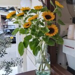 B-yond - ヒマワリ　もう咲いてるんですね