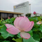 サッポロビール　仙台ビール園 - ビオトープ園