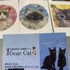 ディア キャット - 