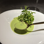 サンフォコン - 