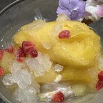 サンフォコン - 