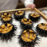 恵比寿 鮨 ふじまさ - 