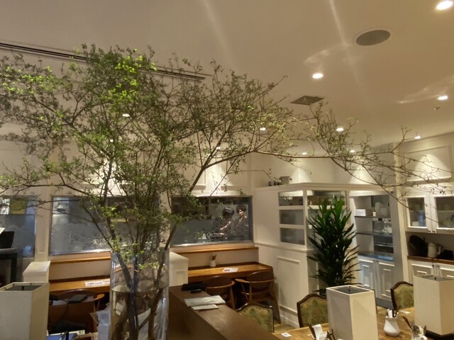 Kinboshi Pasta Kuzuha Mall Ten photo 4