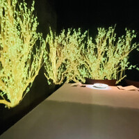 佐賀牛 Sagaya 銀座 - 