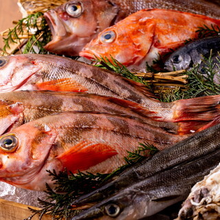 新鮮な魚介類をその時期いちばん美味しい調理法で◎