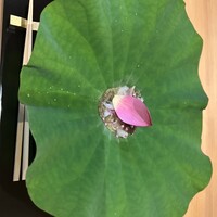 にくの匠 三芳 - 