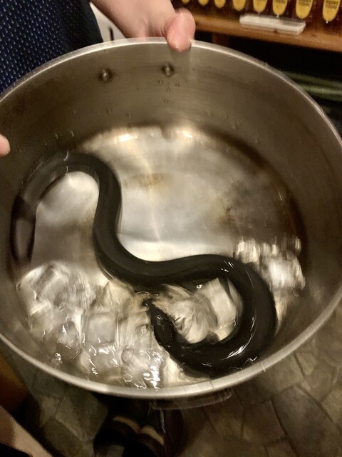 居酒屋 ほたる（苫小牧の居酒屋　ほたる） - 青葉（居酒屋）の写真