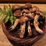 鳥幸 - 7月中旬より松茸の提供始めました。