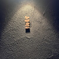 焼き鳥 とき - 