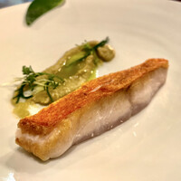 セルサルサーレ - 