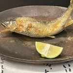 炭火割烹 麻布龍土町 - 鮎の塩焼き「反ってる」