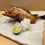 炭火割烹 麻布龍土町 - 炭火焼き　きんき塩焼き　6000円