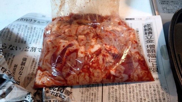 ホルモン初音 - 石越（焼肉）の写真