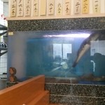 みよし寿司 - 生け簀があります