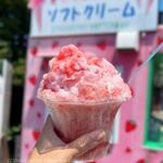 道の駅 いちごの里よしみ - 料理写真:雪いちご（750円税込）