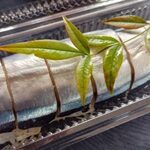 道の駅 十津川郷 - 