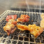 本厚木ホルモンセンター - 