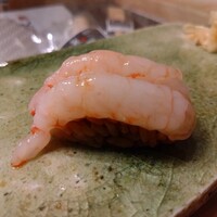 鮨 はなやま - あまえび
