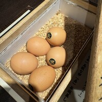 テッパン ル オムス - 
