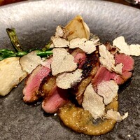 オッジ ダルマット 西麻布店 - 