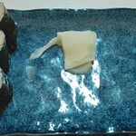 寿し処 ゆたかや - 