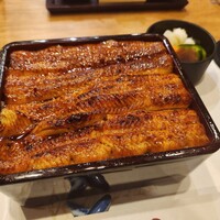 入谷鬼子母神門前のだや - 