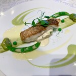 シャトー　ラ・パルム・ドール - ◉ 市場からの鮮魚
      　伊勢真鯛、そら豆など…
      　　☘️ まさにお皿の芸術✨
      　　　　夏にふさわしい涼しげなカラーで