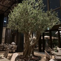 ジャヌ メルカート - 