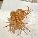 天ぷら浅沼 - おまかせ増量コース
                                　└車海老頭