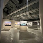 Ristorante SCAT_TO - 失われる北極の氷河