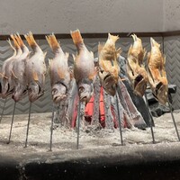 のどぐろの中俣 新橋 - 